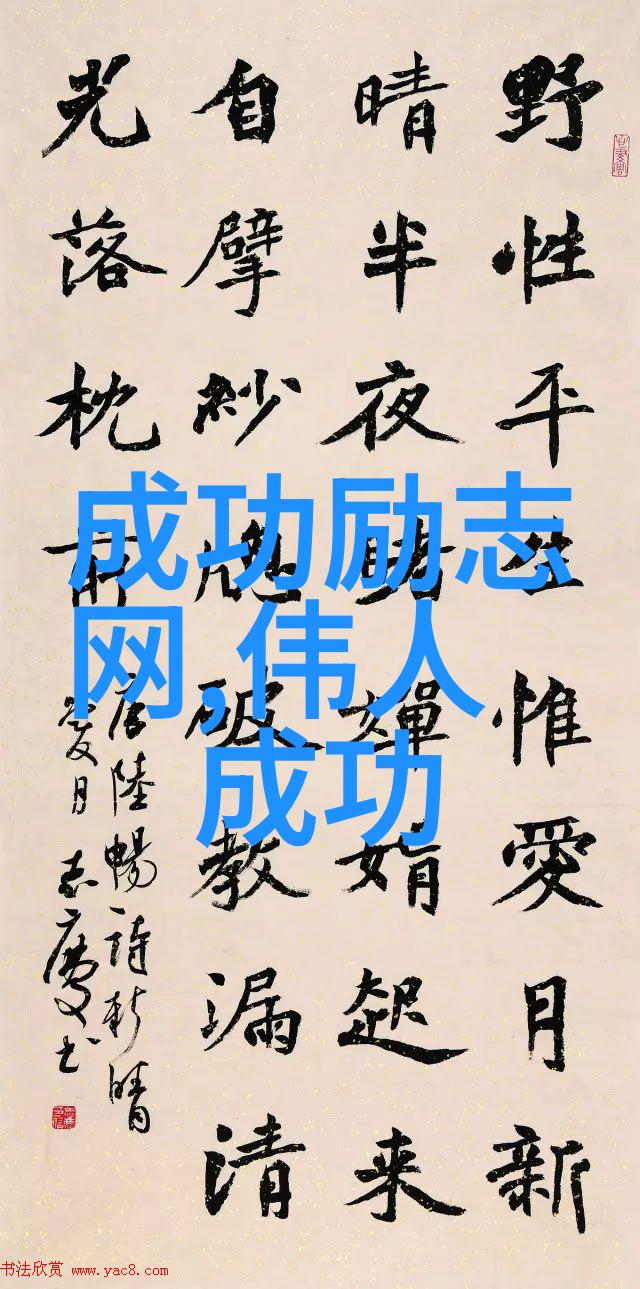 面对人口老龄化挑战如何利用90后的活力促进社会稳定与可持续发展