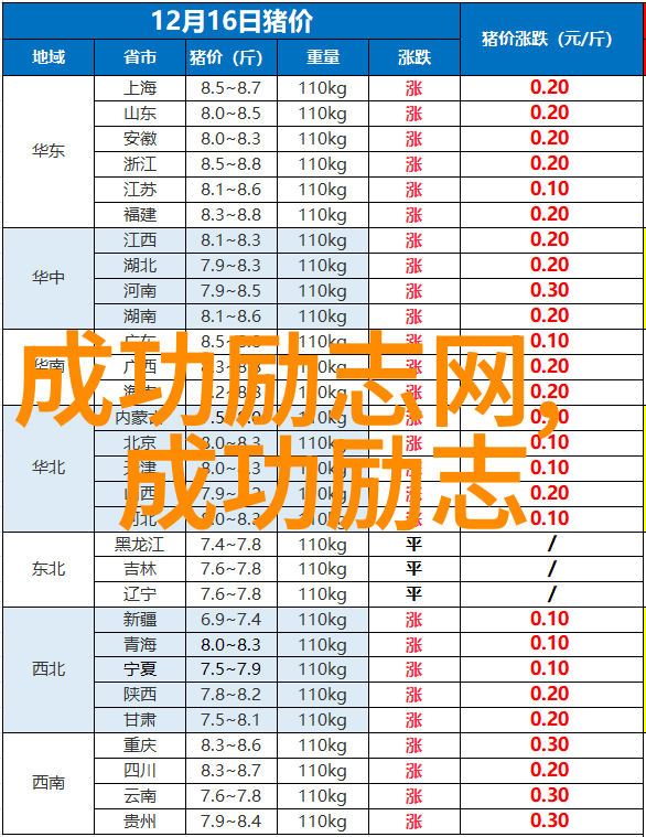 魔幻现实主义中的时间与记忆解读加西亚马尔克斯作品中的经典语录