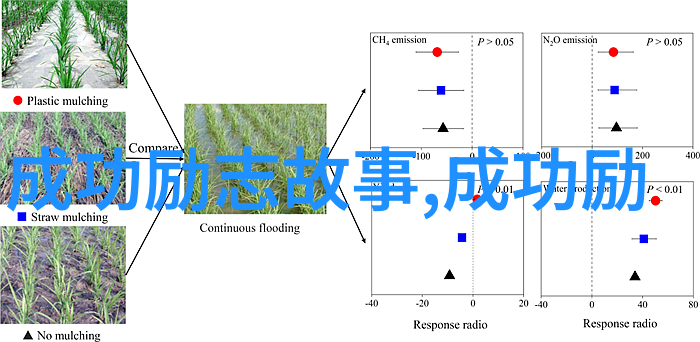 励志故事-袁隆平种子之星引领希望