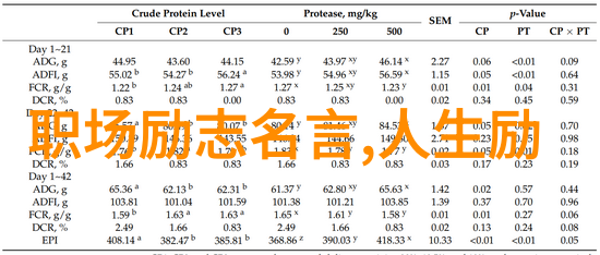 史泰龙逆袭征程从小混混到影帝的励志故事