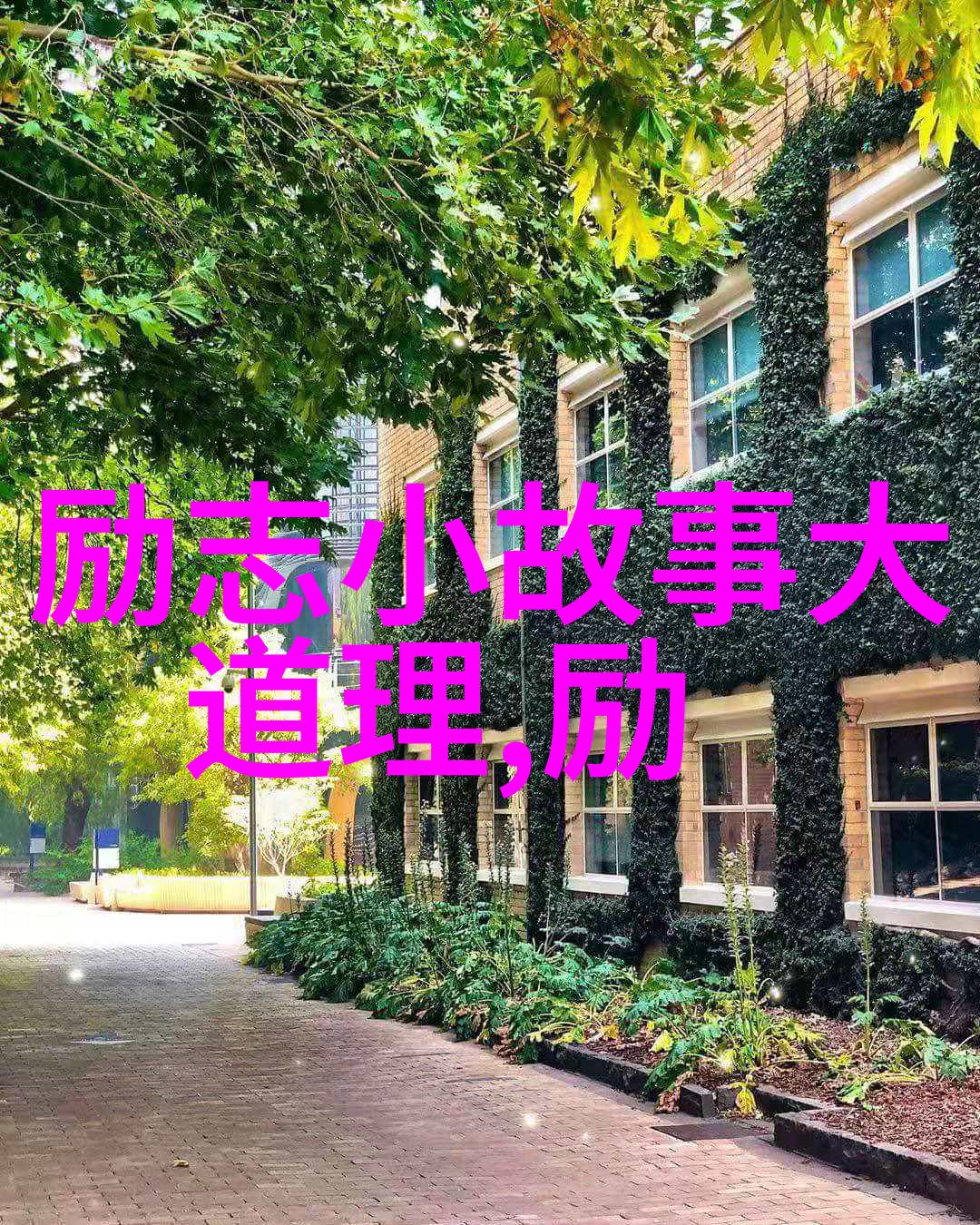 从零到英雄成功人士的鼓舞人心的话语