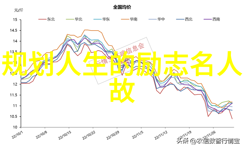 女强人逆袭的故事