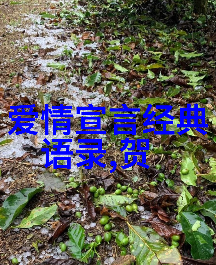 麦兜的智慧笑声中穿梭的哲学小品