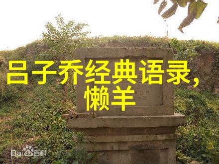 梦里花落知多少