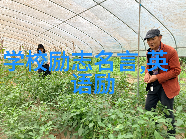 心碎的边缘be最虐心能哭死的短文