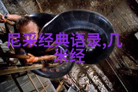 有关照片的语句