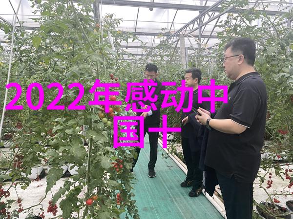 老公对我使用暴力夫妻感情破裂的说说我该离婚吗