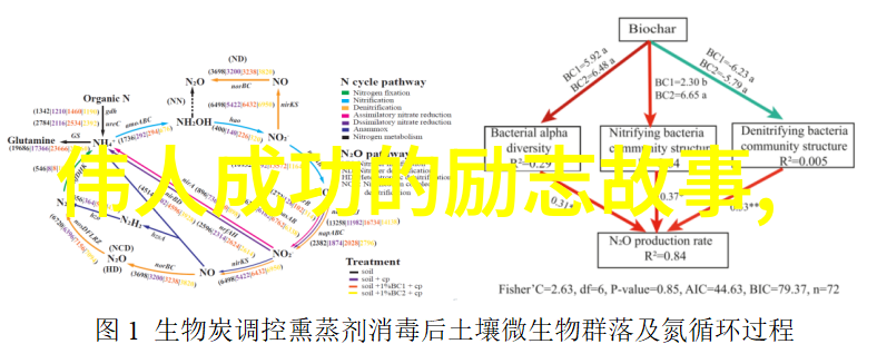 告别繁杂拥抱简洁探索断舍离的经典智慧