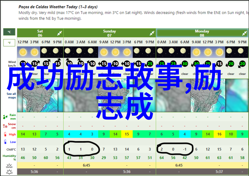 偶像名人我是如何成为偶像的