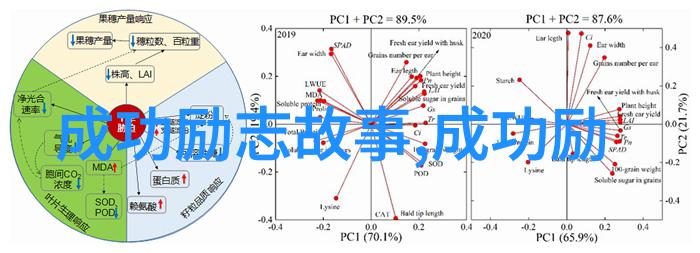 陈二狗的妖孽人生经典语录分手之痛重铸自我