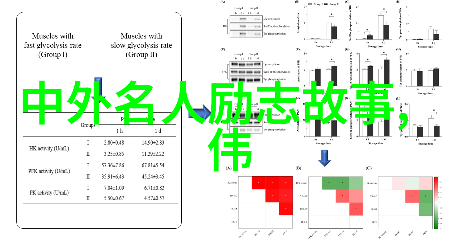 难道成功的傻子不是高考励志故事中的主角吗