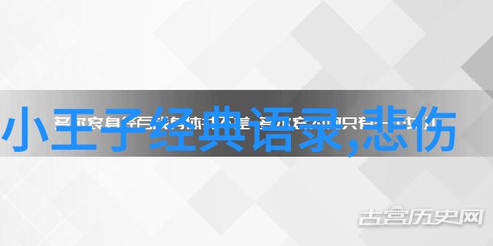 王小波经典语录不容置疑的努力与成就永远值得尊敬