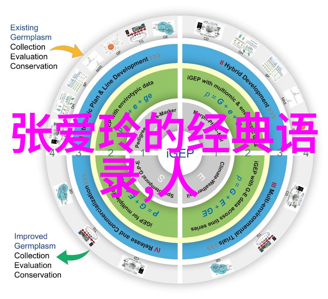 平凡的世界经典语录-李雷从校园小伙计到企业高手的励志之旅