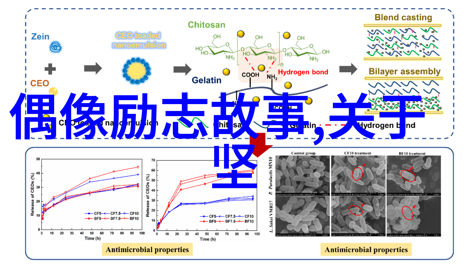 中国因你而美文化传承与现代风貌的和谐融合