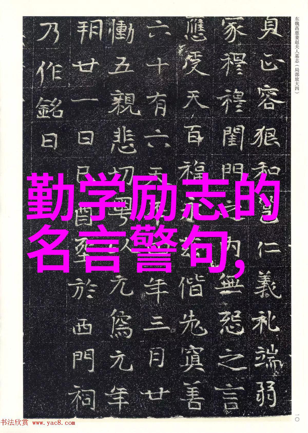 英语名言警句 励志 - 奥普拉温弗瑞致敬自我成长的力量