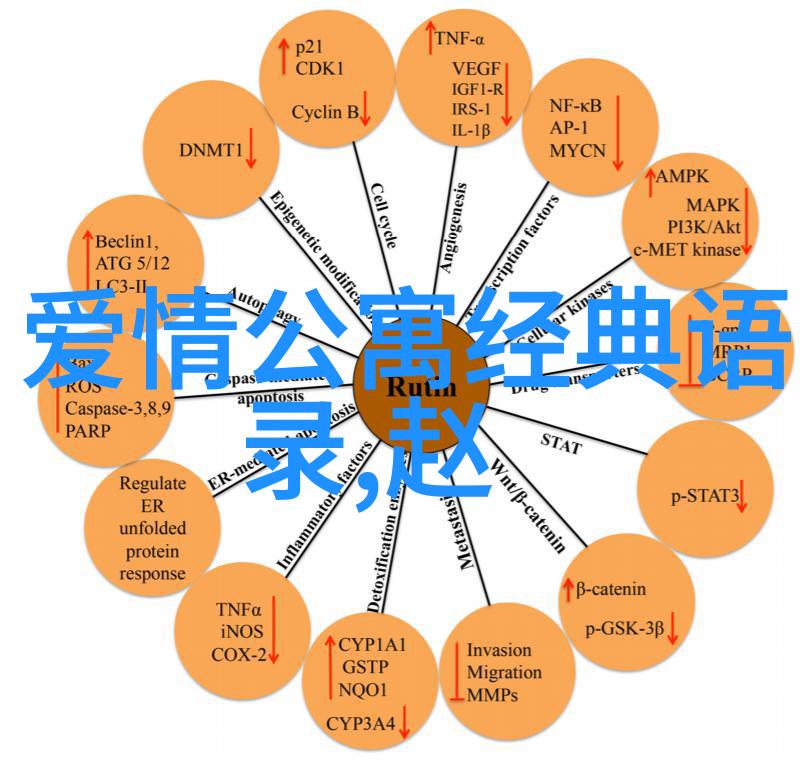 入园第一天的经典语录-李雷的智慧之旅