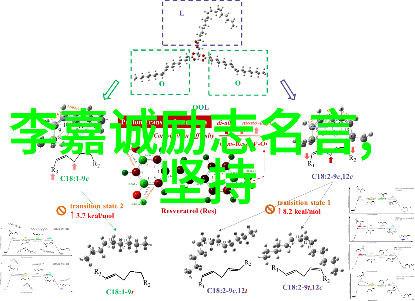 王小波的知识分子与权力观点如何理解