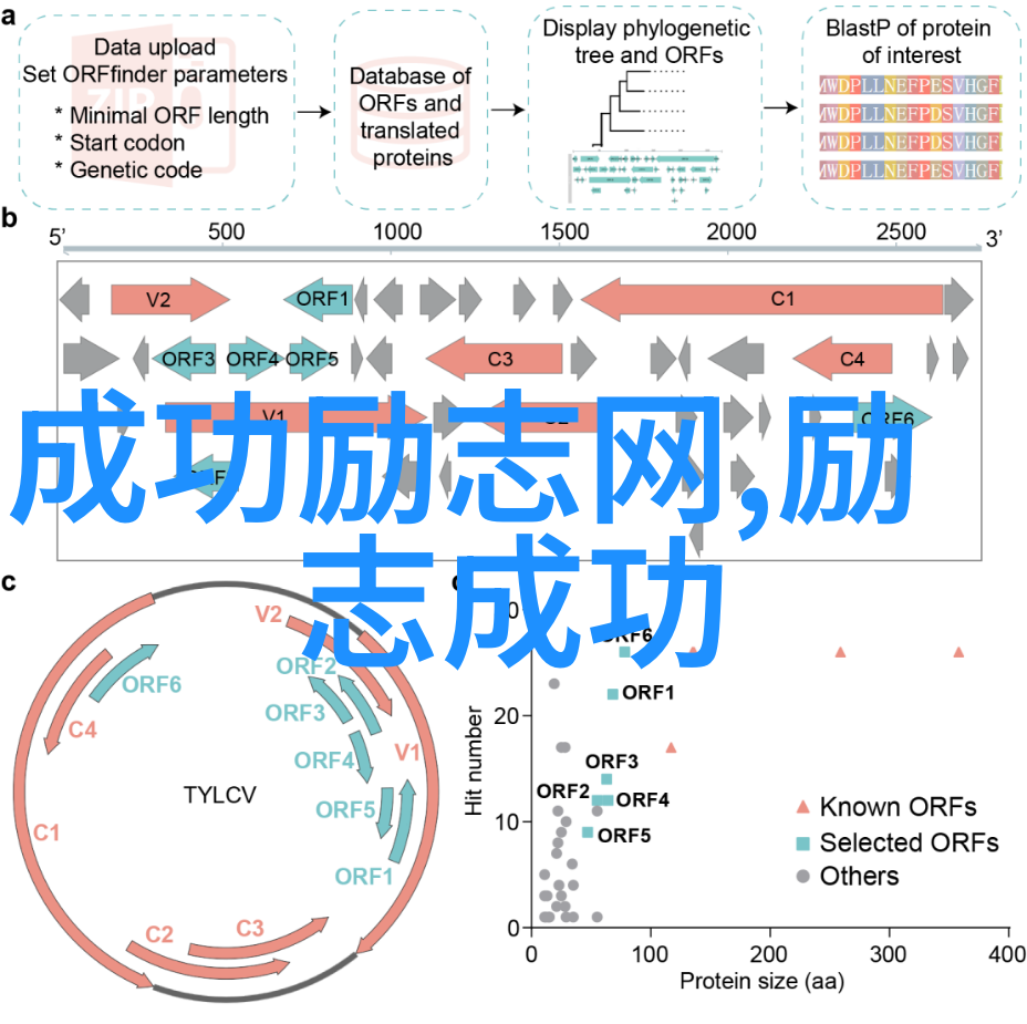 郭敬明最新郭敬明最新视频