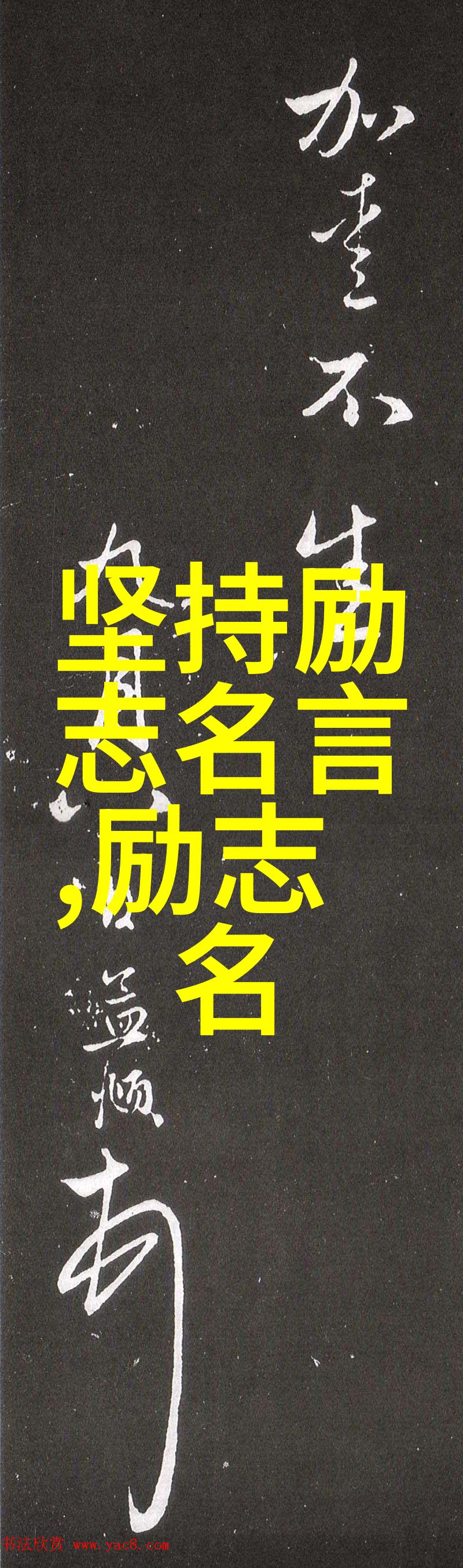 以身作则中国最具正能力影视巨星们的榜样作用