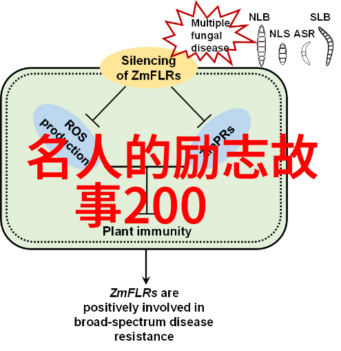 袁隆平的智慧种子科学与农业发展的经典语录