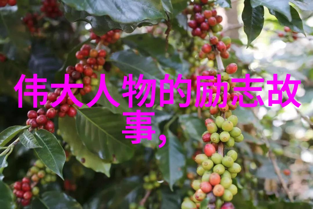 中国十大影响力人物我是如何认识这些改变世界的人们的