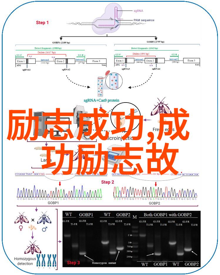 篮球梦想传颂那些激励人心的名言