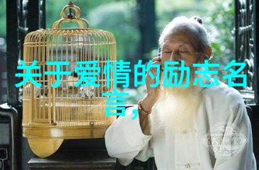 少年天才中国梦之星