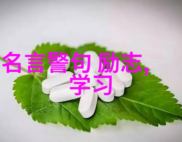 学会珍惜时间提升效率高效工作中的每一次努力