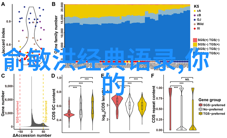 逆袭30从低谷到巅峰的激励之旅