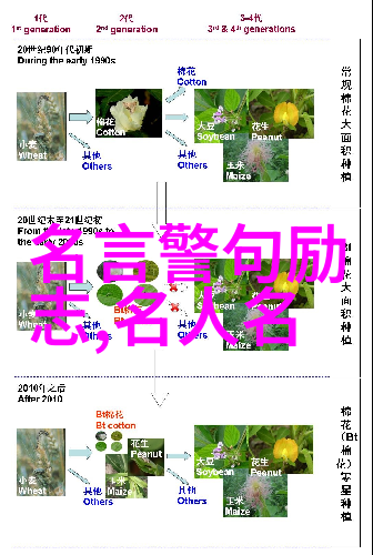 在谈及当代文坛时莫言提到新世纪文学应该具备怎样的特点和责任