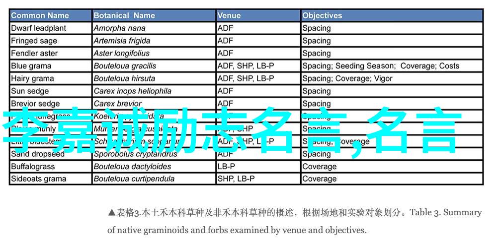 情感婚姻心理咨询专家探秘什么是爱情三观超正的爱情观故事