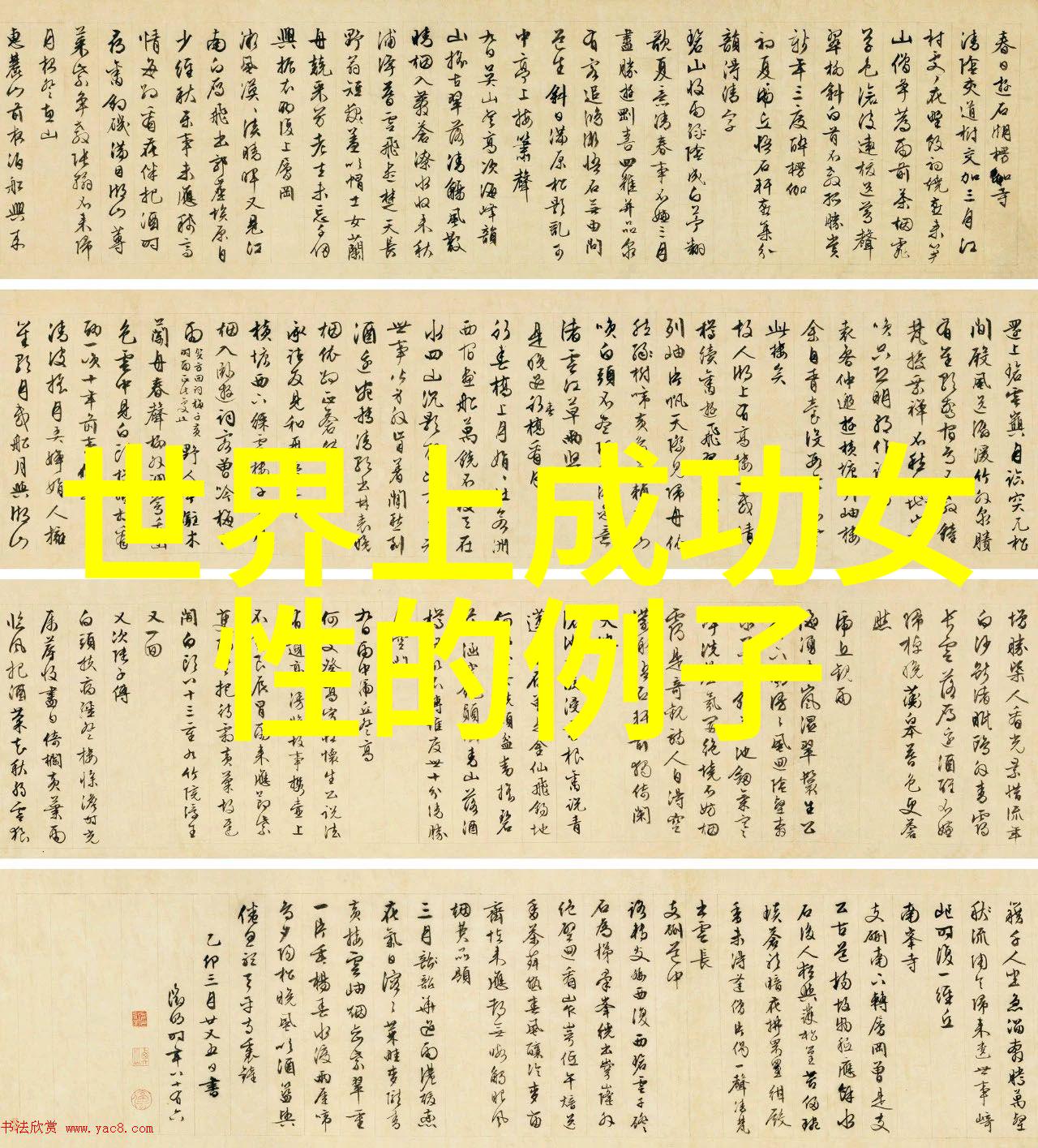 那些在国际政治舞台上取得显著成就的女性领导者的典范又是谁呢