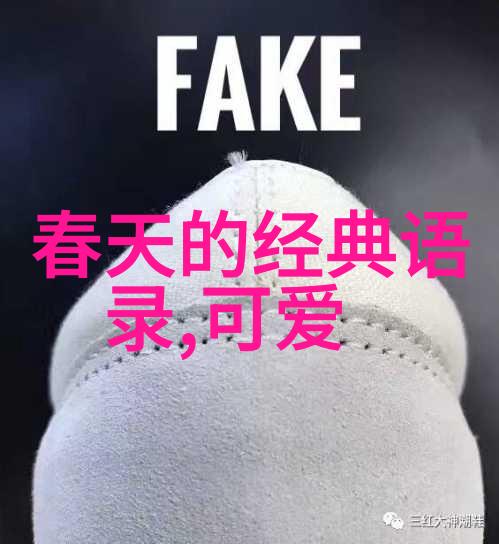 在追求梦想时我们该如何平衡现实与理想让自己的生活充满希望与动力