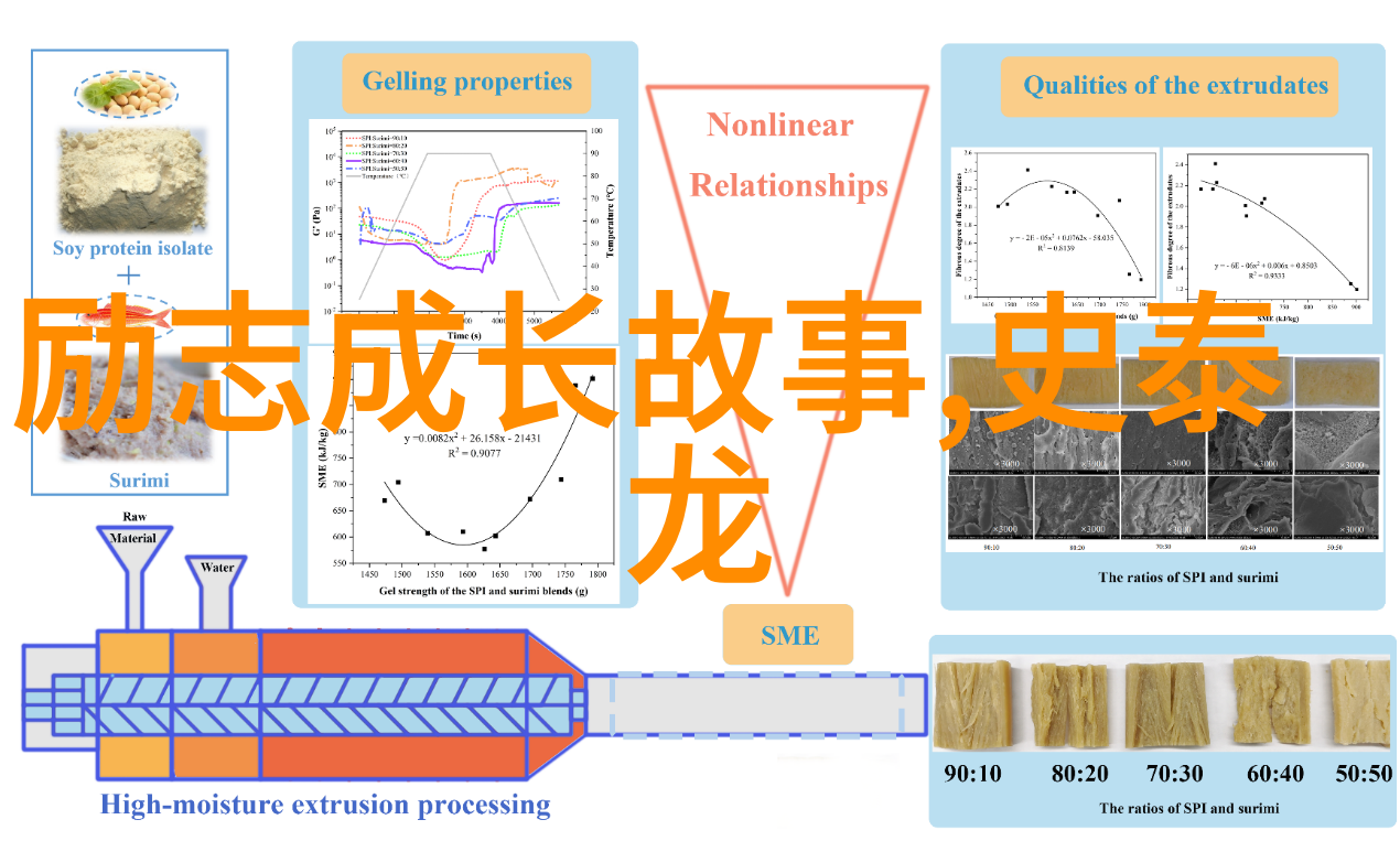 历史舞台上的孤独英雄们他们如何找到力量继续前行