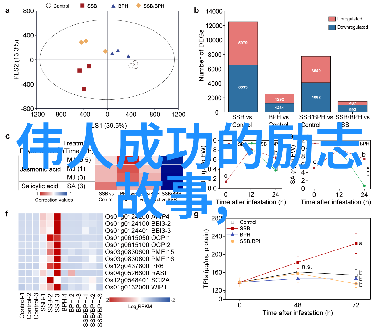 励志名言名句大全激励人生启示